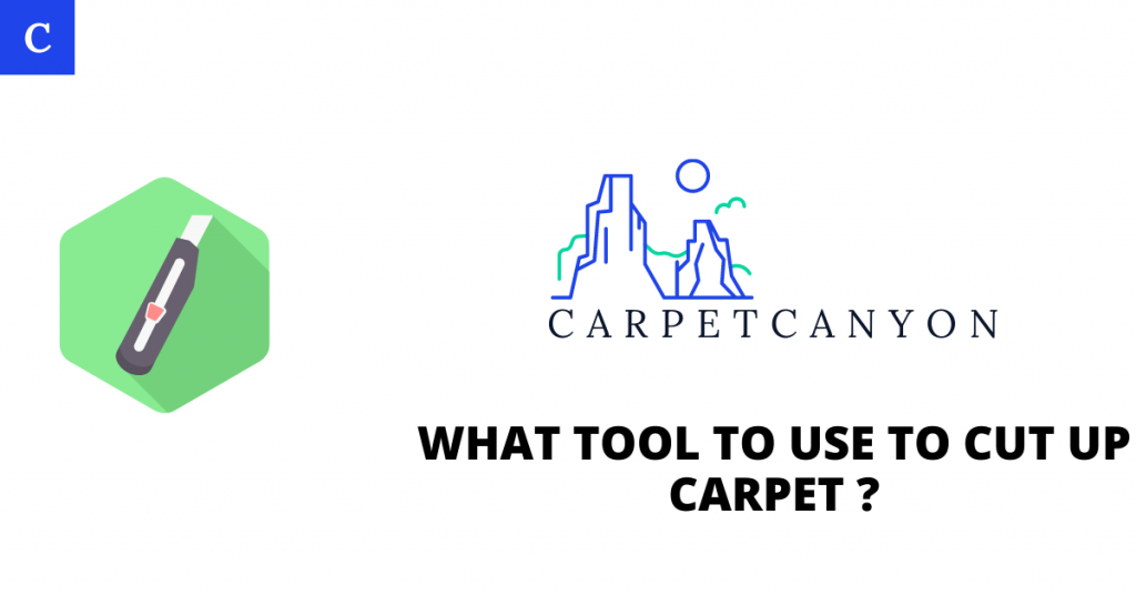 what-tool-to-use-to-cut-up-carpet-2023