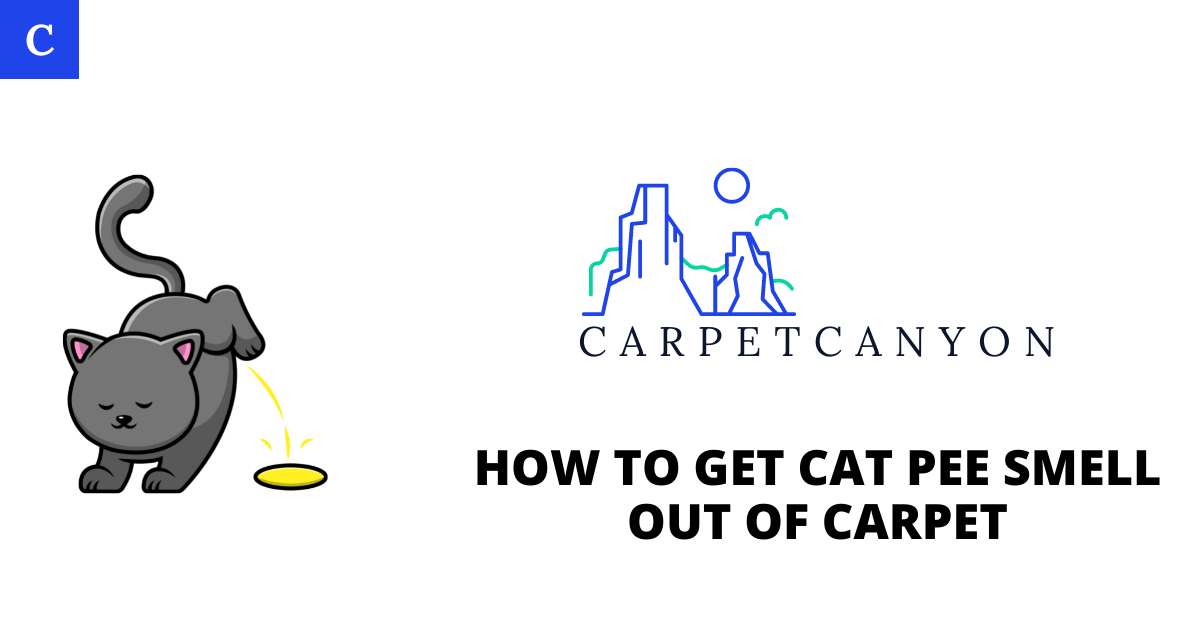 geting cat pee smell out of carpet