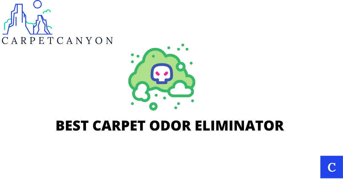 Best Carpet odor eliminator- featured image