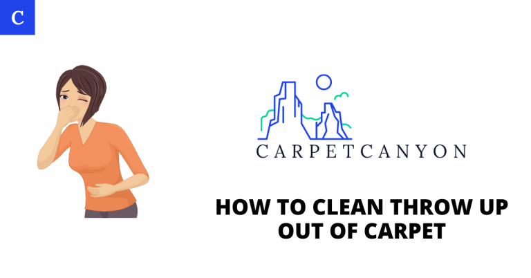 How To Clean Throw Up Out Of Carpet
