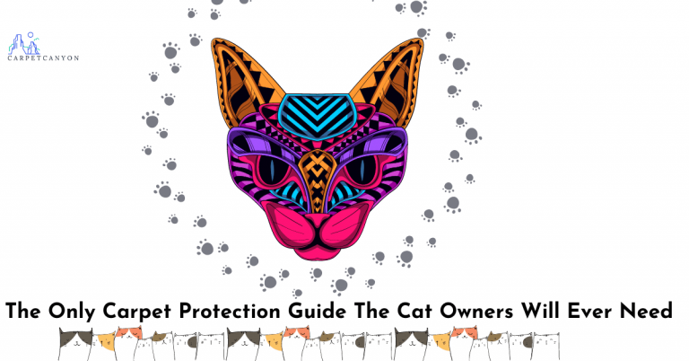 Carpet Protection Guide for the cat owners-featured image