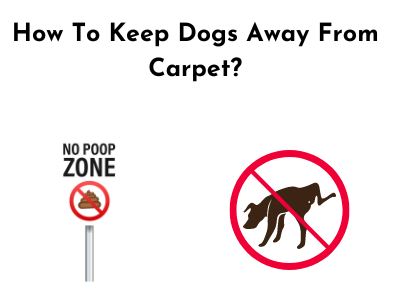 Keeping dogs away from carpet