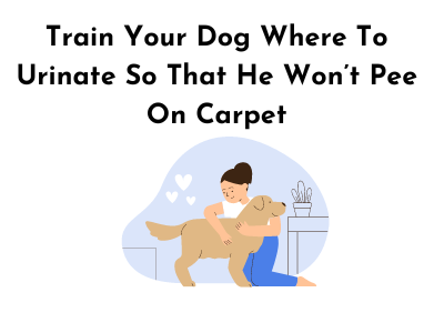 Train Your Dog Where To Urinate 