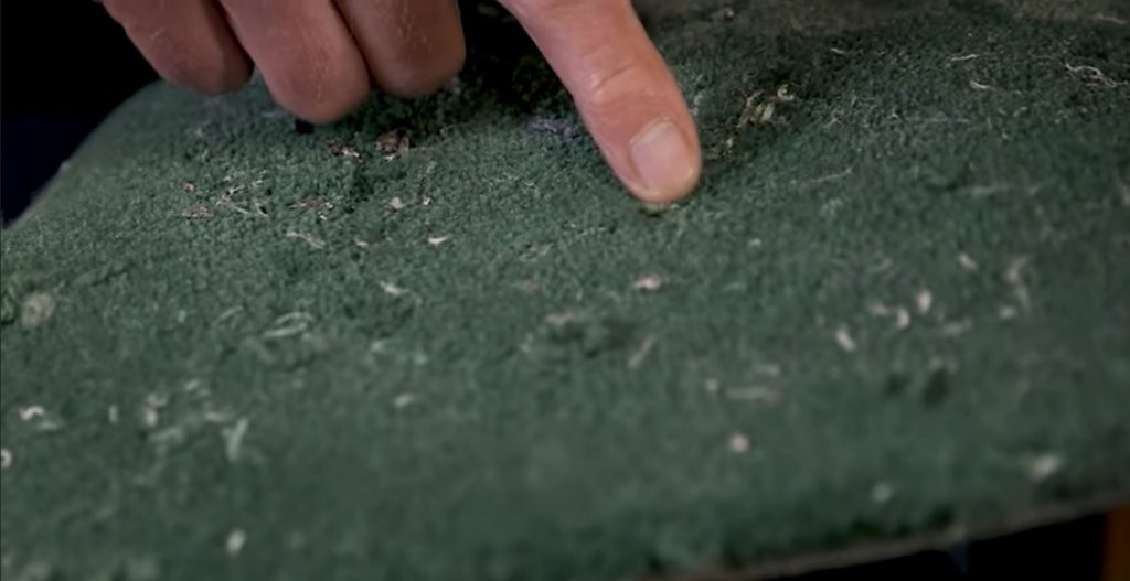 A piece of carpet eaten by carpet moth