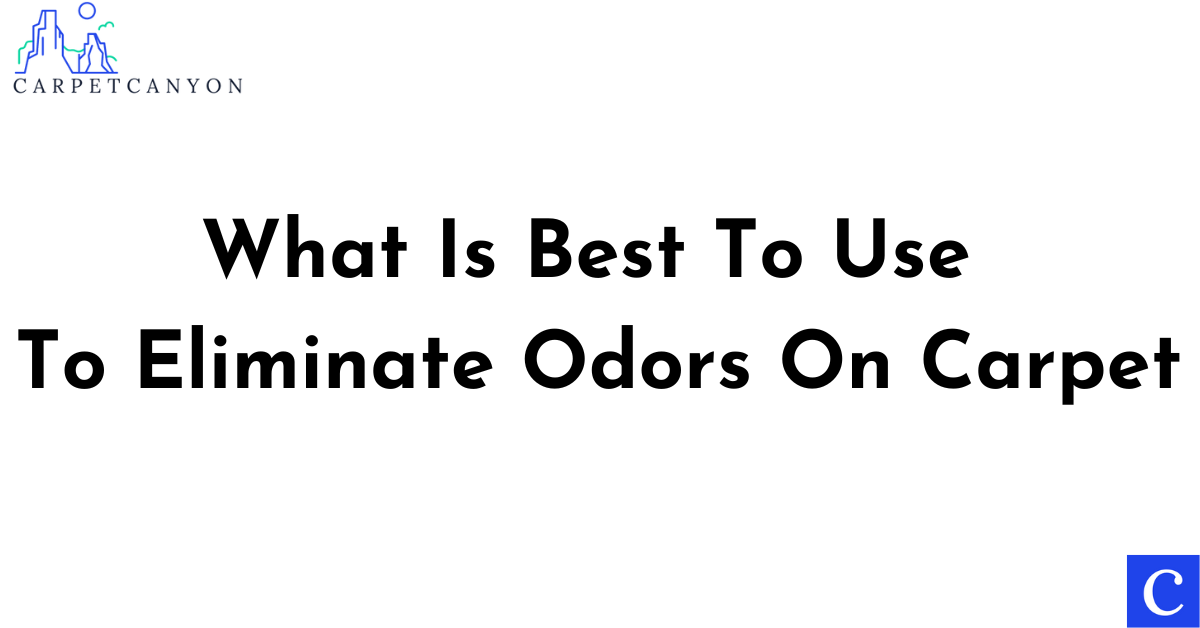 What Is Best To Use To Eliminate Odors On Carpet -featured image