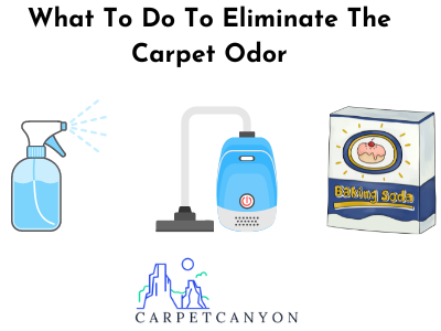 what to do to eliminate carpet odor