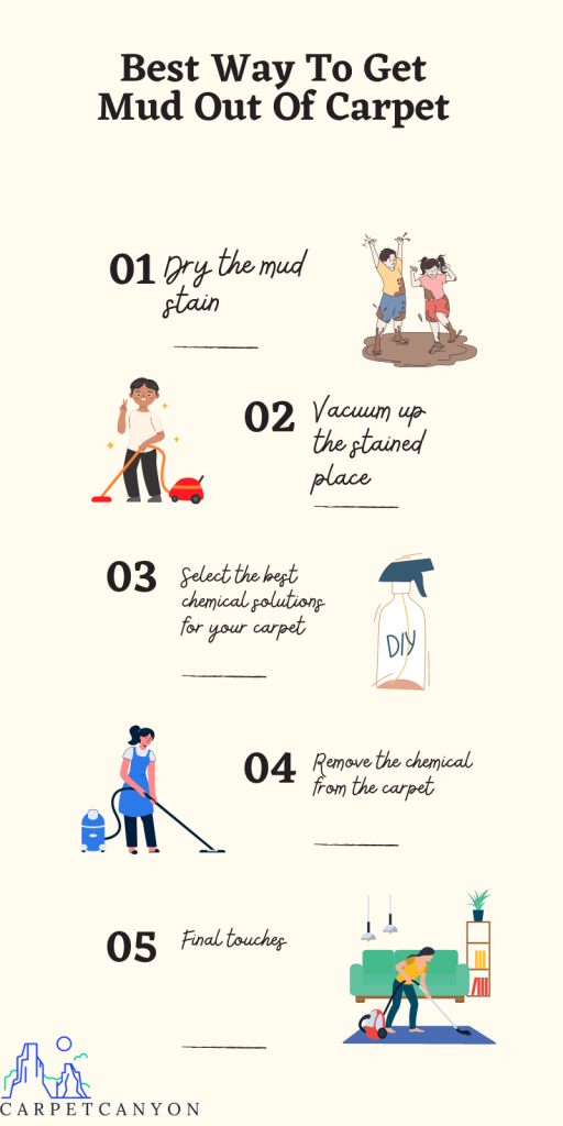 Infographic on getting mud out of carpet